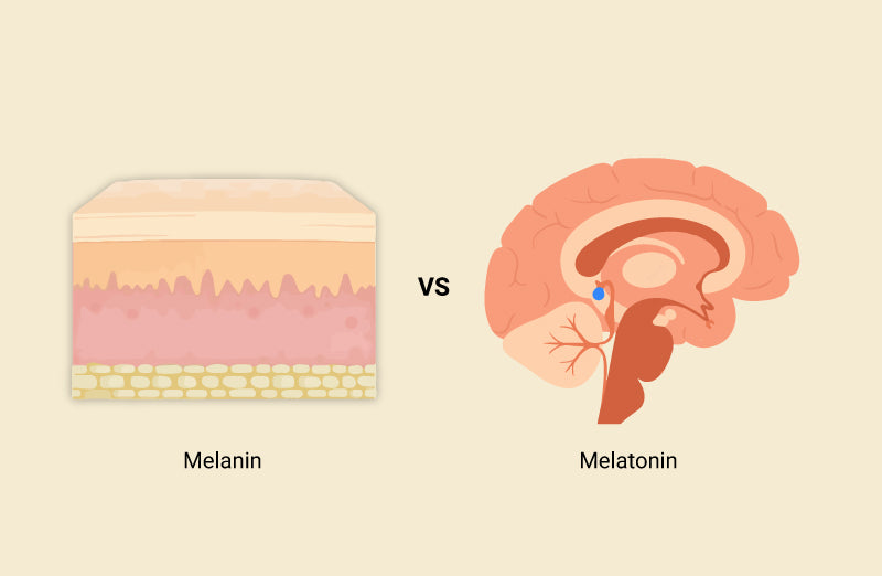 Melanin vs Melatonin: Exploring the Differences in Pigmentation and Sleep Regulation Knya Melanin vs Melatonin: Exploring the Differences in Pigmentation and Sleep Regulation Knya