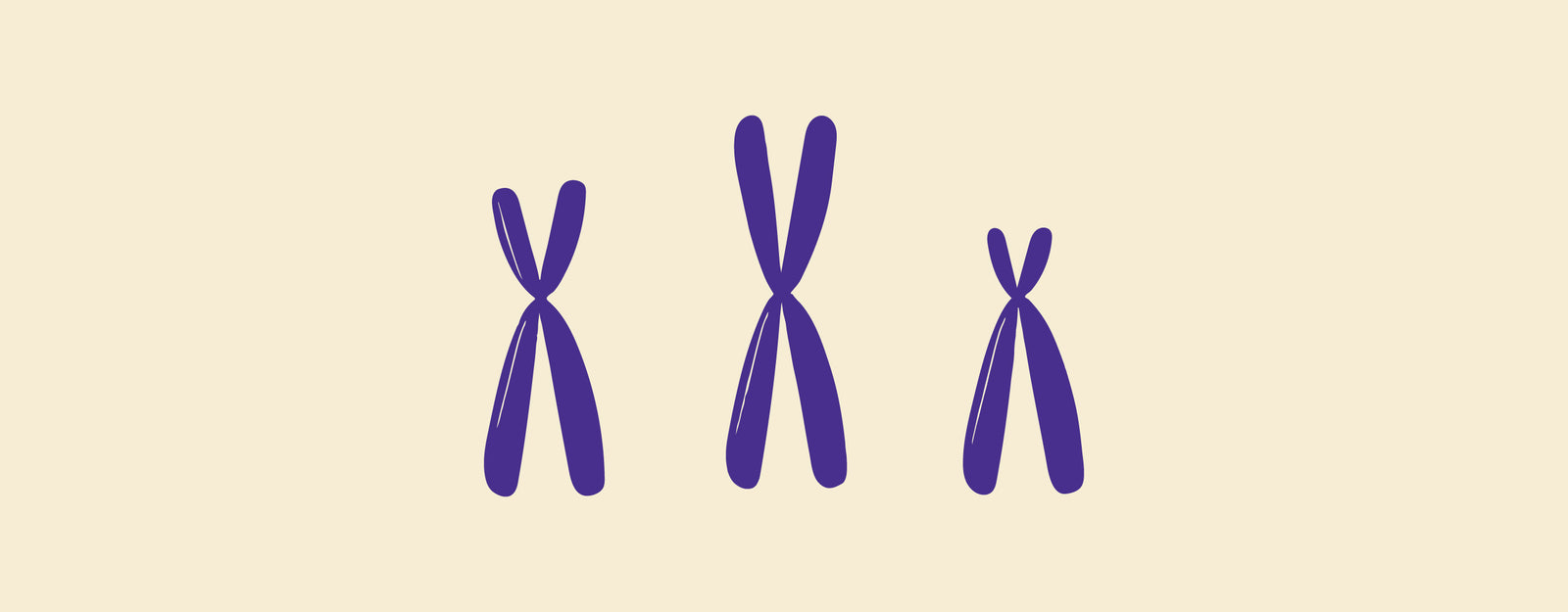 blog banner