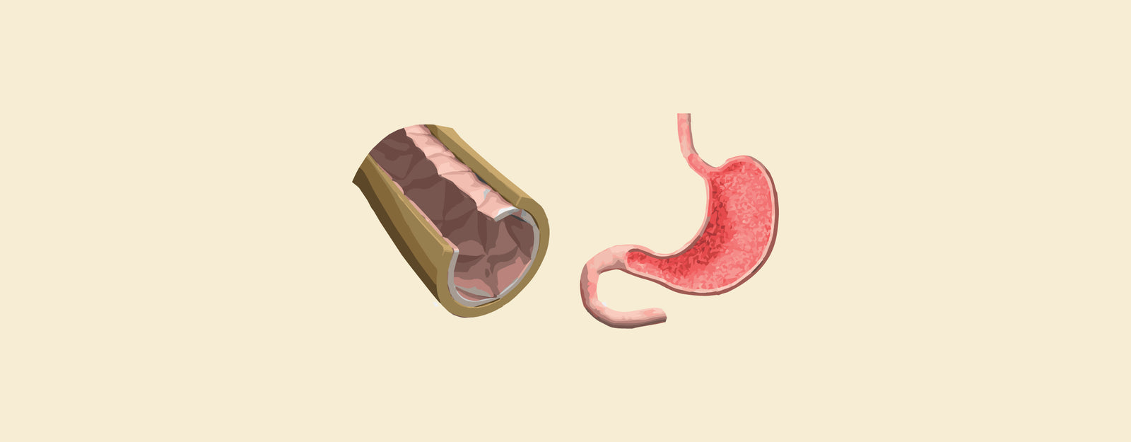 blog banner