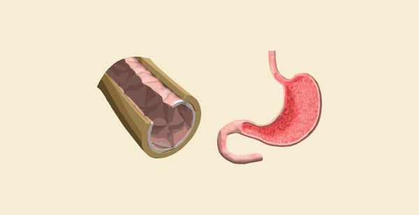 blog banner