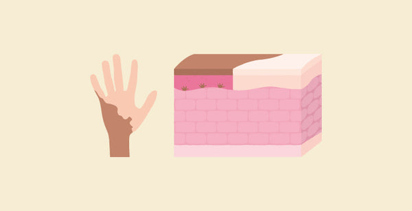 blog banner