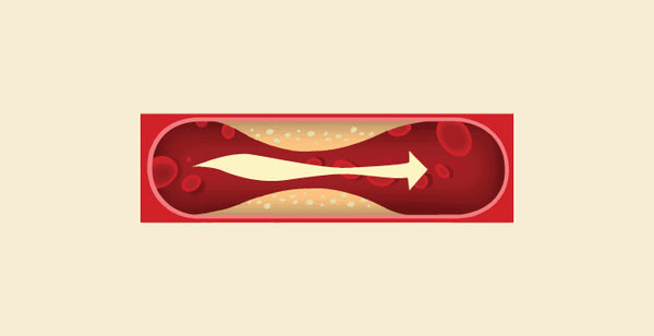 blog banner