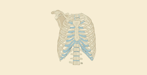 blog banner