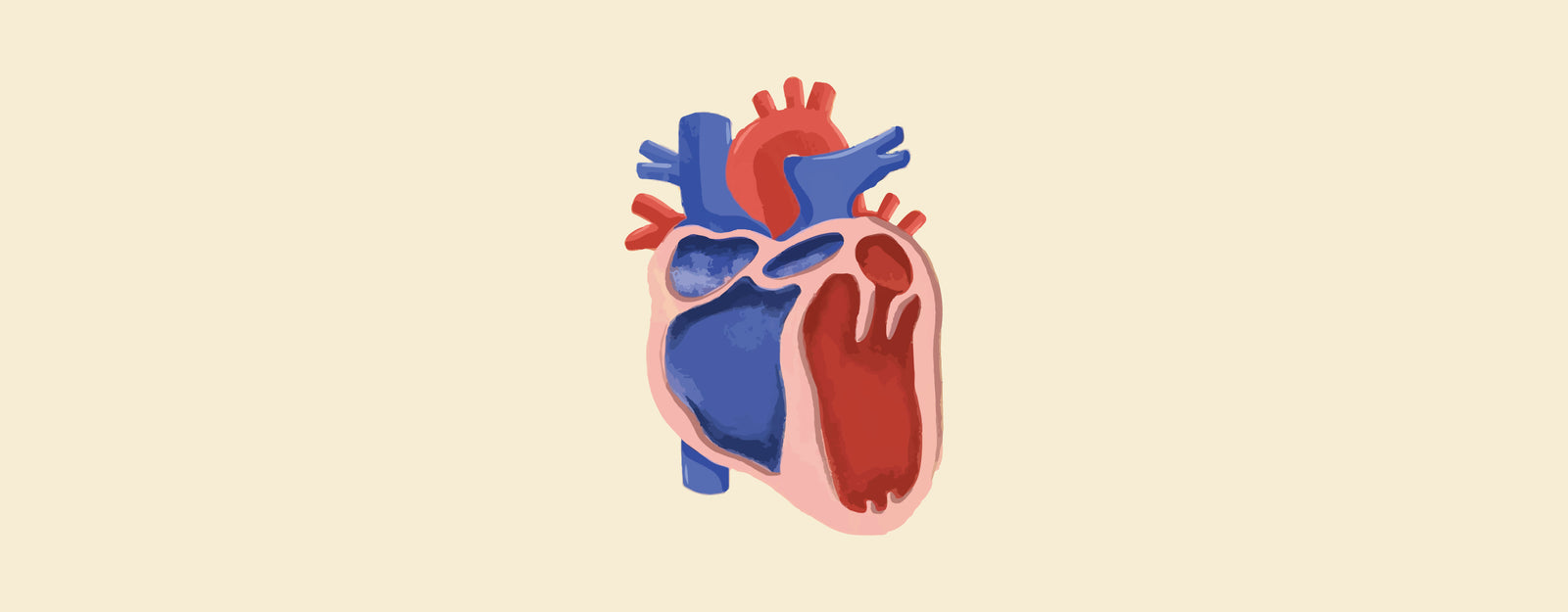 blog banner