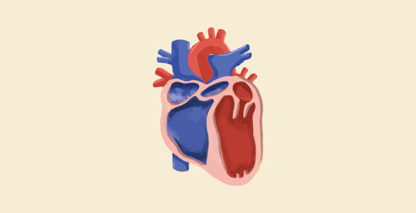 blog banner