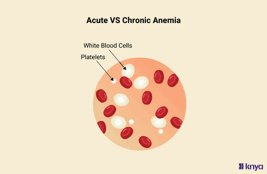 Acute Vs Chronic Anemia