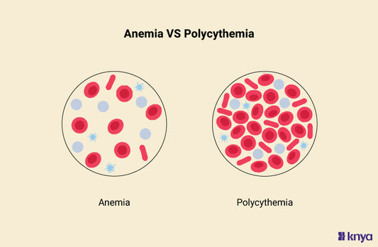Difference Between Anemia and Polycythemia