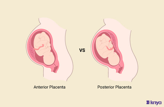 Difference Between Anterior And Posterior Placenta