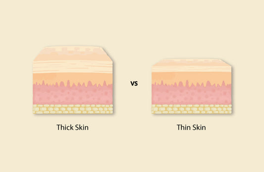 Difference Between Thick And Thin Skin Anatomy