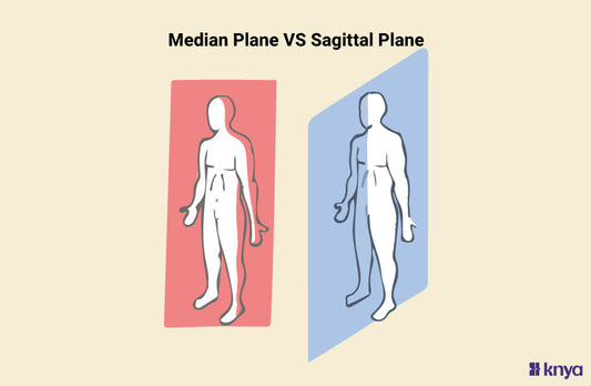 Median Plane Vs Sagittal Plane