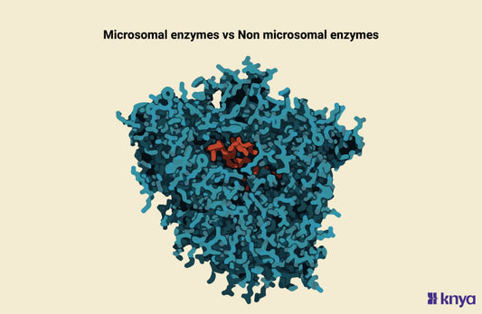 Difference Between Microsomal and Non Microsomal Enzymes