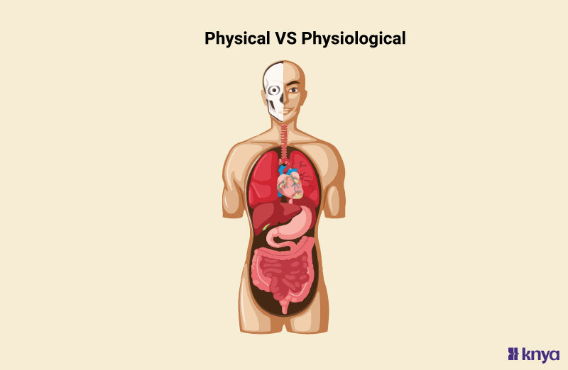 Difference Between Physical And Physiological