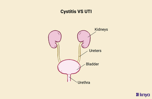 Difference Between Cystitis Vs UTI