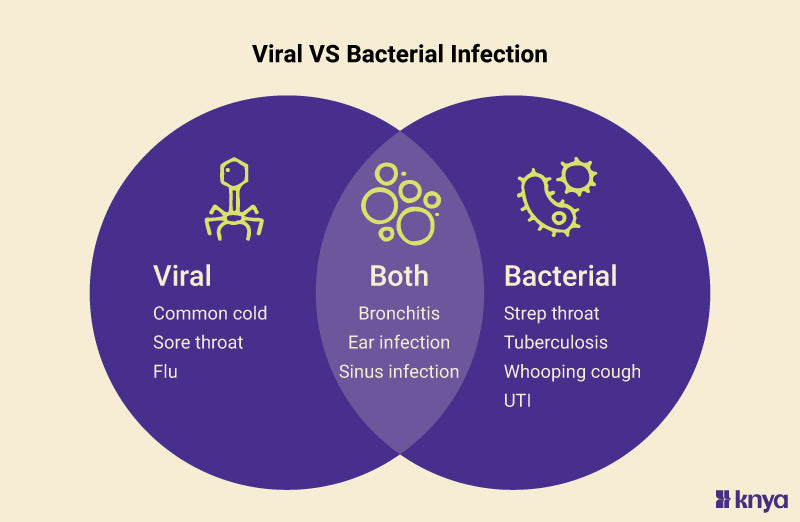 Viral vs Bacterial Infections: grasping the Difference – Knya