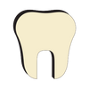 Tooth