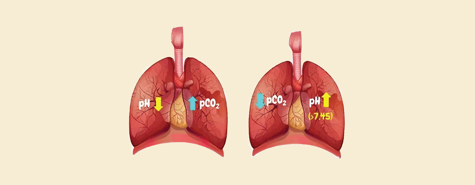 How to Tell the Difference: Allergies vs. Viral Infections