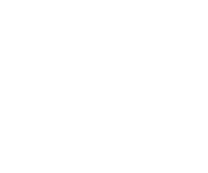 Fortis Logo