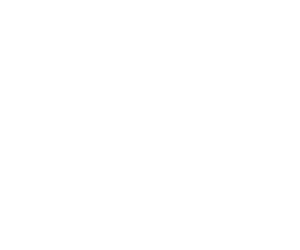 P.D.Hinduja Hospital Logo