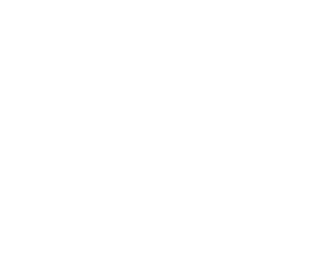 Nanavati Hospital Logo