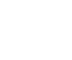 Reliance Foundation Logo