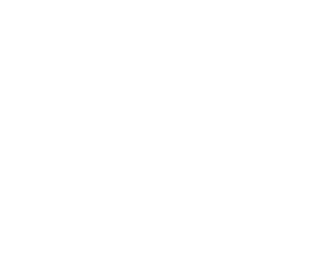 Wockhardt Logo